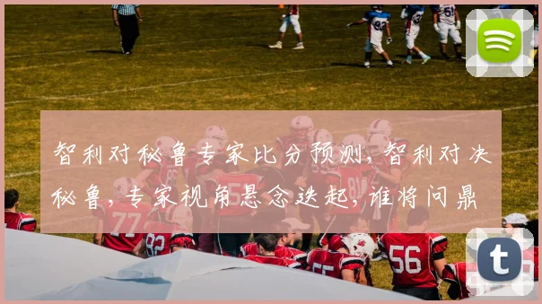 智利对秘鲁专家比分预测,智利对决秘鲁,专家视角悬念迭起,谁将问鼎